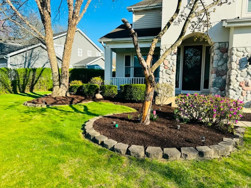 Curved tree bed with stone edging fresh mulch and flowering shrubs